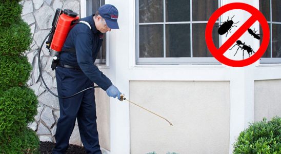 Hamur Karınca İlaçlama böcek ilaçlama ve haşere kontrolü — ilaclama-tr.com